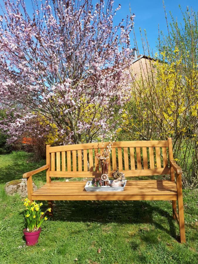 Serendipity Bed&Breakfast Saint-Die-des-Vosges Luaran gambar