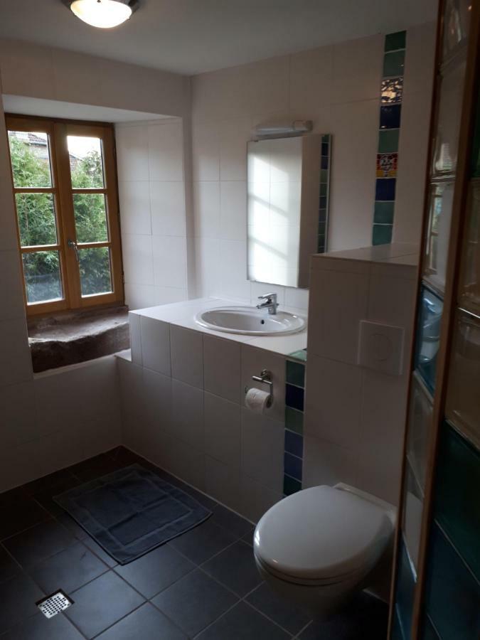 Serendipity Bed&Breakfast Saint-Die-des-Vosges Luaran gambar