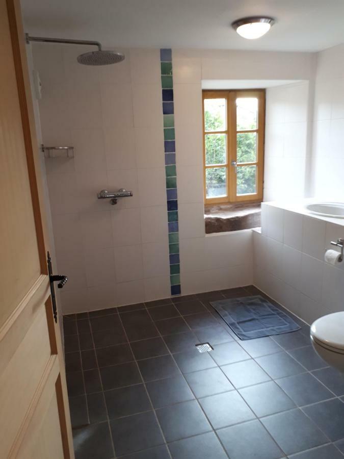 Serendipity Bed&Breakfast Saint-Die-des-Vosges Luaran gambar