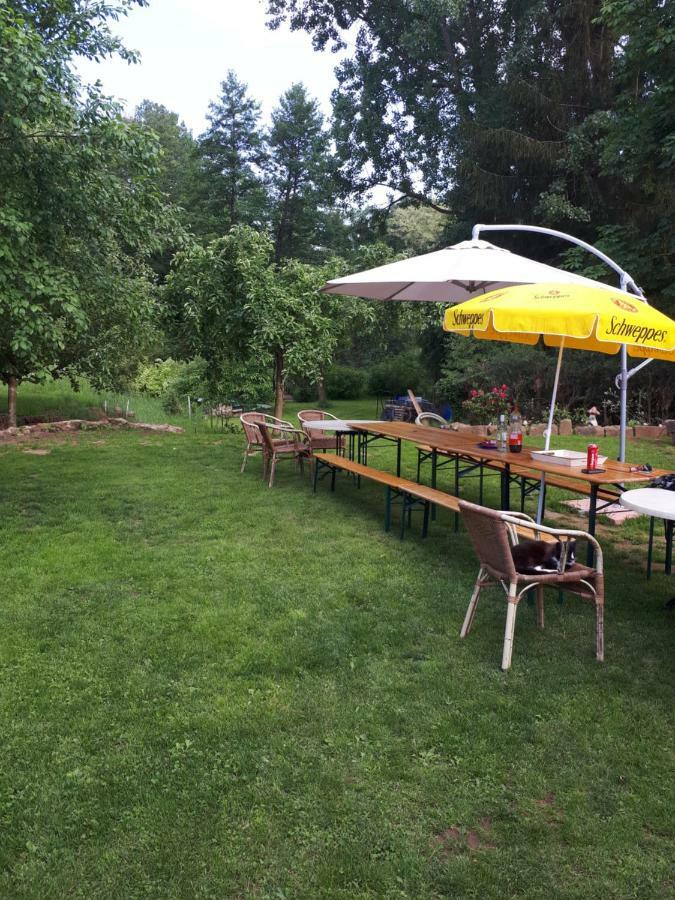 Serendipity Bed&Breakfast Saint-Die-des-Vosges Luaran gambar
